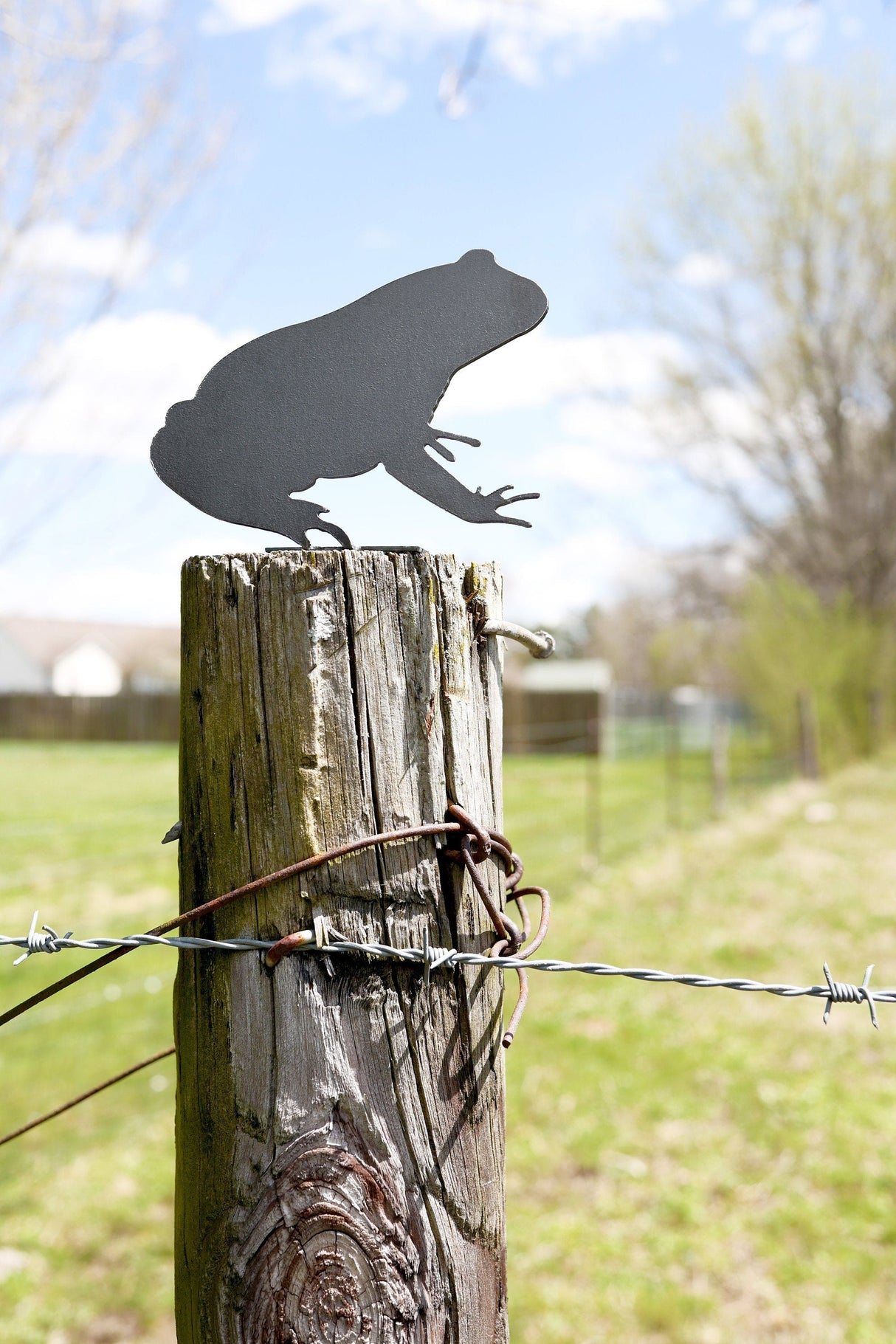 Frog Statue from Jubilee Trading Company