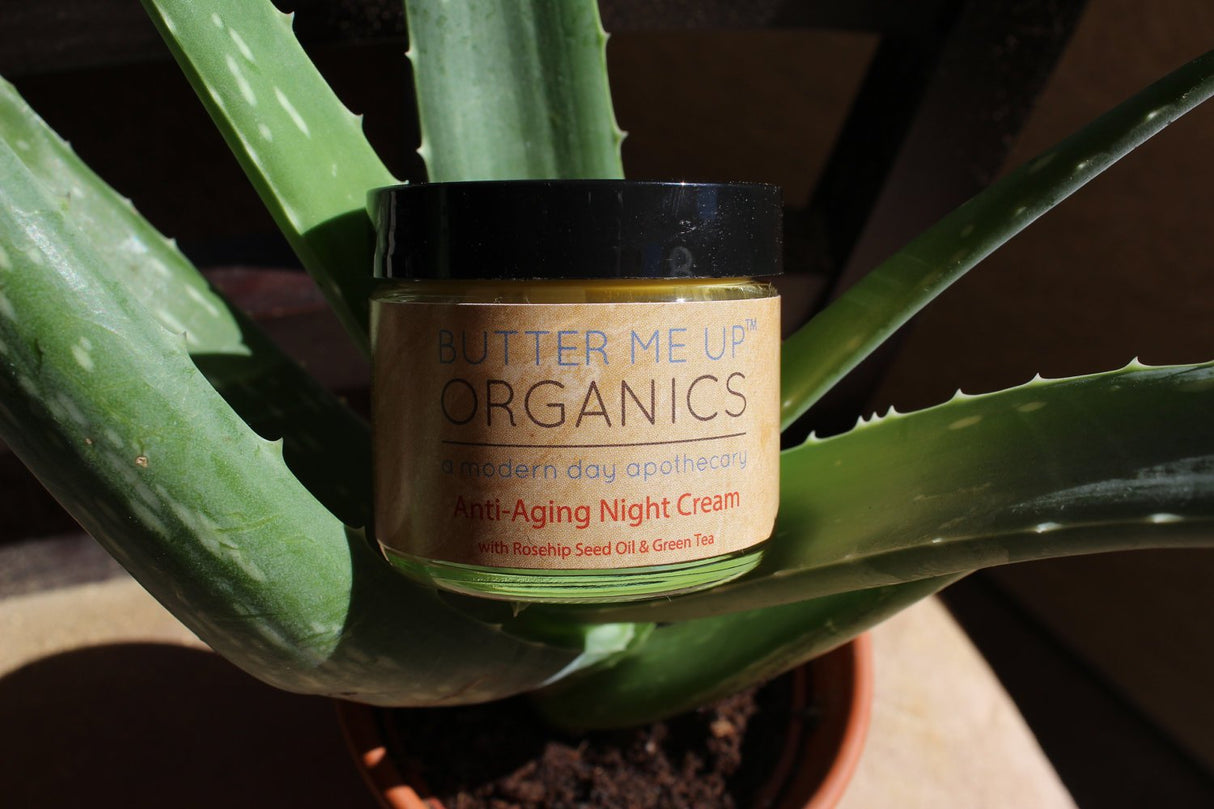 Anti Aging Night Cream Face Moisturizer Organic Green Tea from Butter Me Up Organics