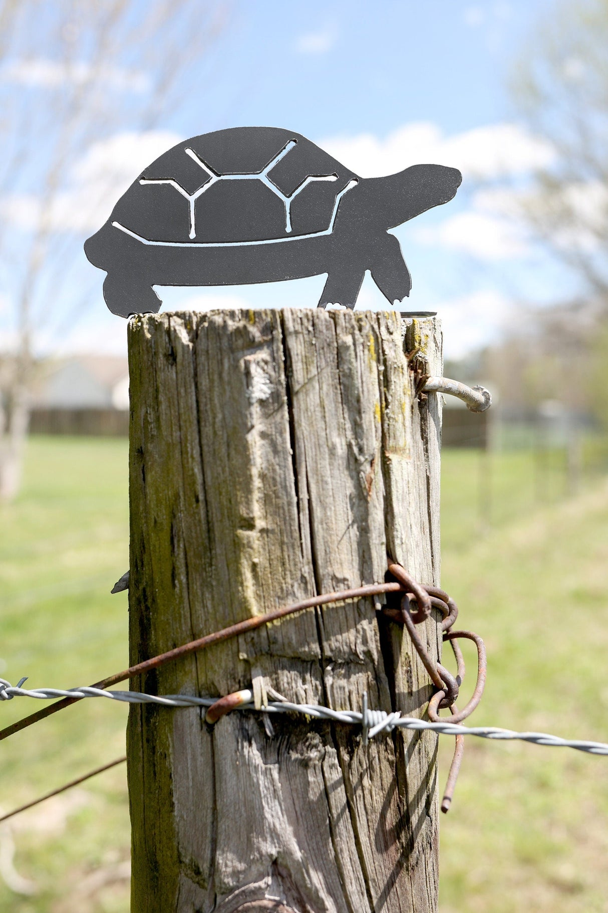 Turtle Statue From Jubilee Trading Company