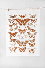 Butterfly Tea Towel Terra-cotta from Jubilee Trading Company