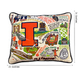 Illinois, University of Collegiate Hand-Embroidered Pillow from Quirks!