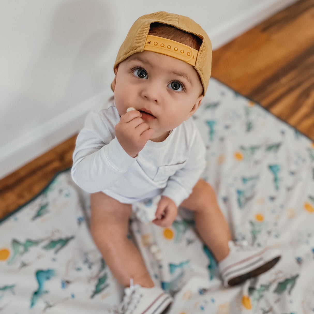 Mountain Mist Splash Mat - A Waterproof Catch-All for Highchair Spills and More! from BapronBaby