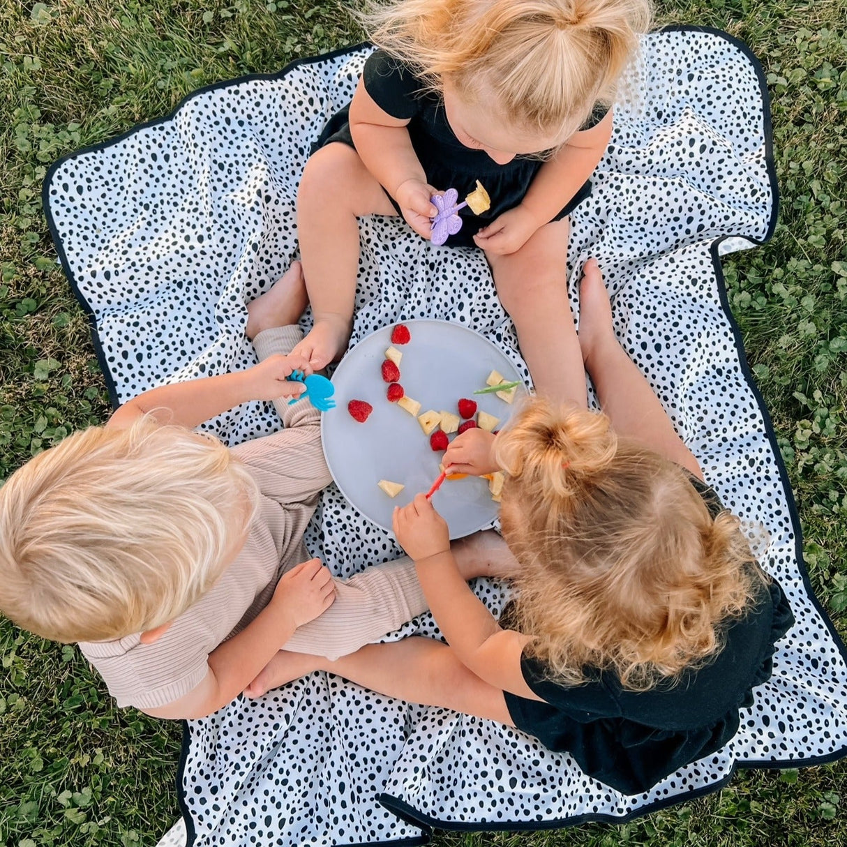 Foodie Picks from BapronBaby