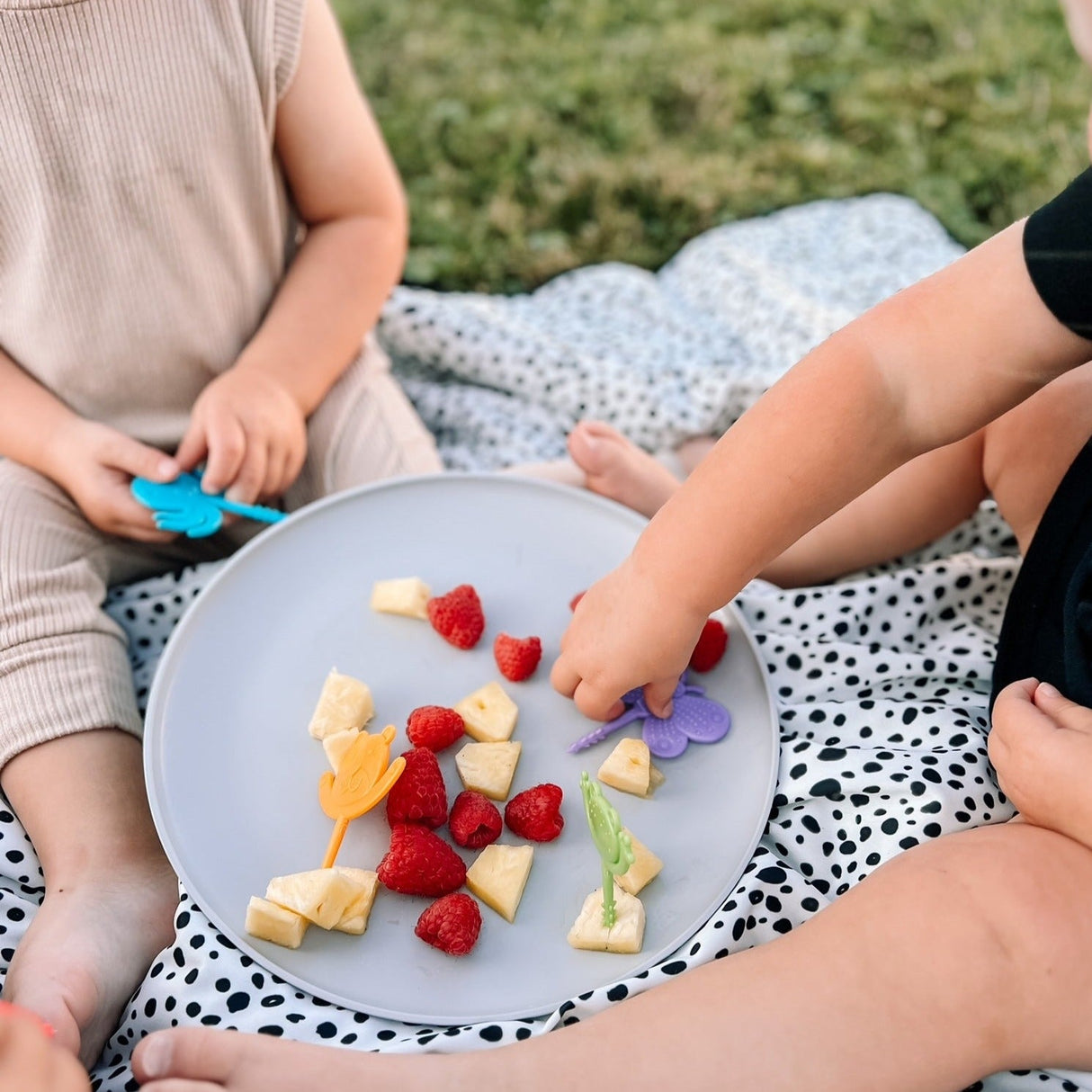 Foodie Picks from BapronBaby