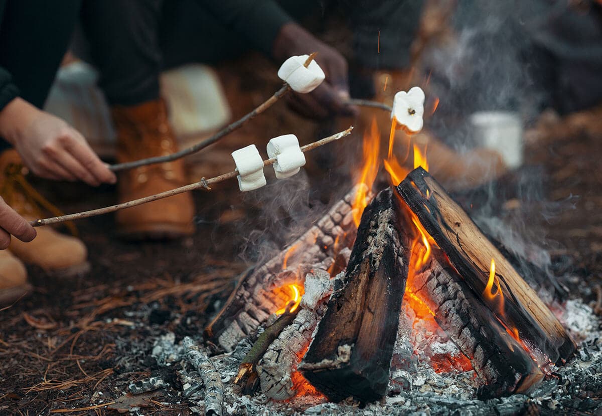 Campfire and Fireflies Organic Handmade Soap from Sweet Harvest Farms