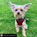 Mr. Peanut's PupTrek Harness and Leash Set,  Small Dog/Cat Soft Mesh Step In Harness Vest from Mr. Peanut's Pet Carriers