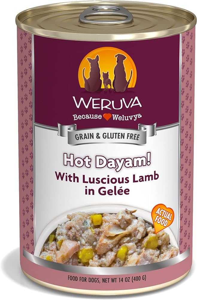 Weruva Hot Dayam! Wet Dog Food (14oz) from The Family Pet