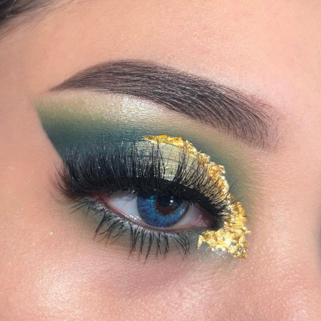 Predator Neutral Eyeshadow Palette From Prolux Cosmetics