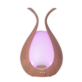 Timeless Diffuser from Timeless Organics Skin Care