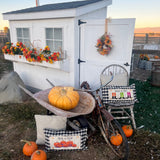 Holiday Panel: Halloween October Pumpkins Fall Autumn Jack-o-Lanterns; TRICK OR TREAT From PillowPanels