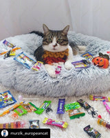 Mr. Peanut's 23" OrthoPlush® Pet Bed - Gray Two Tone from Mr. Peanut's Pet Carriers