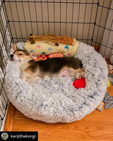 Mr. Peanut's 23" OrthoPlush® Pet Bed - Gray Two Tone from Mr. Peanut's Pet Carriers