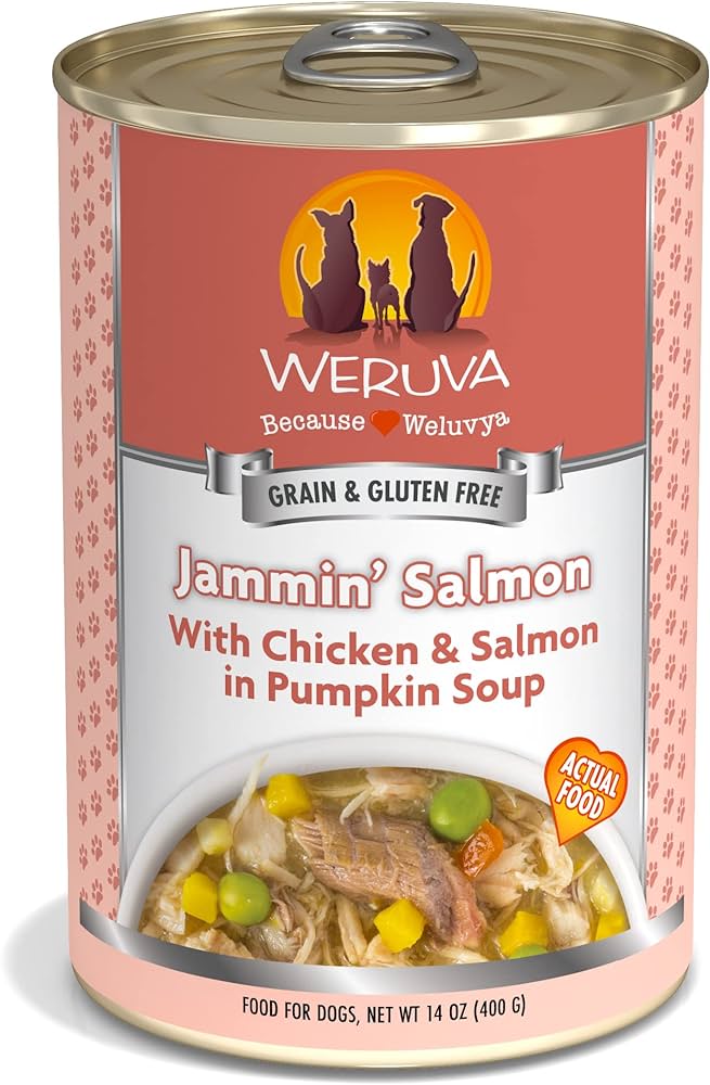 Weruva Jammin' Salmon Wet Dog Food (14oz) from The Family Pet
