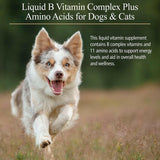 Rx Vitamins Amino B Plex, B Vitamin Complex Plus Amino Acids from HardyPaw