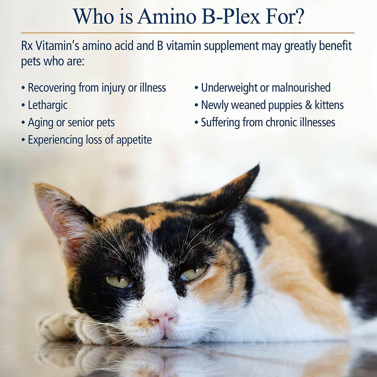 Rx Vitamins Amino B Plex, B Vitamin Complex Plus Amino Acids from HardyPaw
