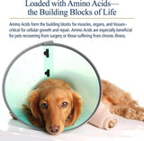 Rx Vitamins Amino B Plex, B Vitamin Complex Plus Amino Acids from HardyPaw