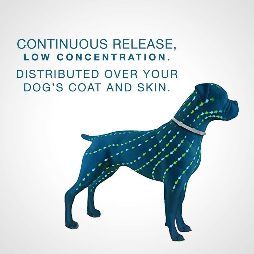 Seresto Flea & Tick Collar for Large Dogs from HardyPaw