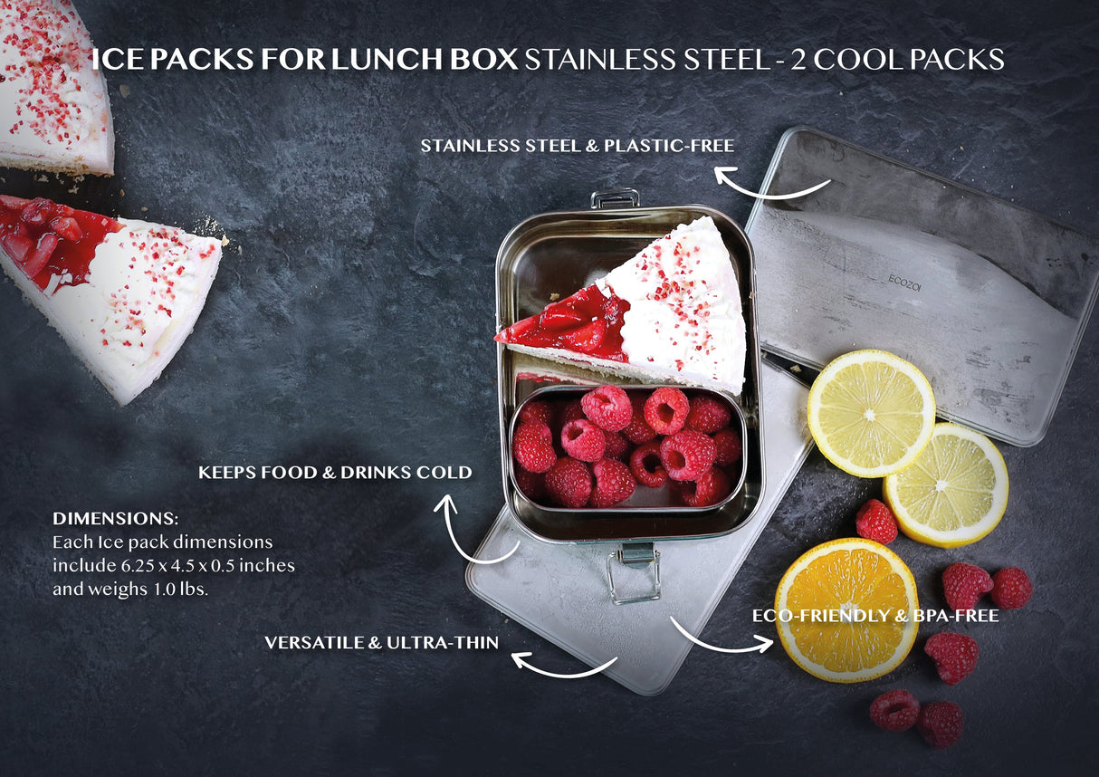 Stainless Steel Freezer PACKS FOR LUNCH Boxes and Lunch Bags, 2 Pack from ecozoi