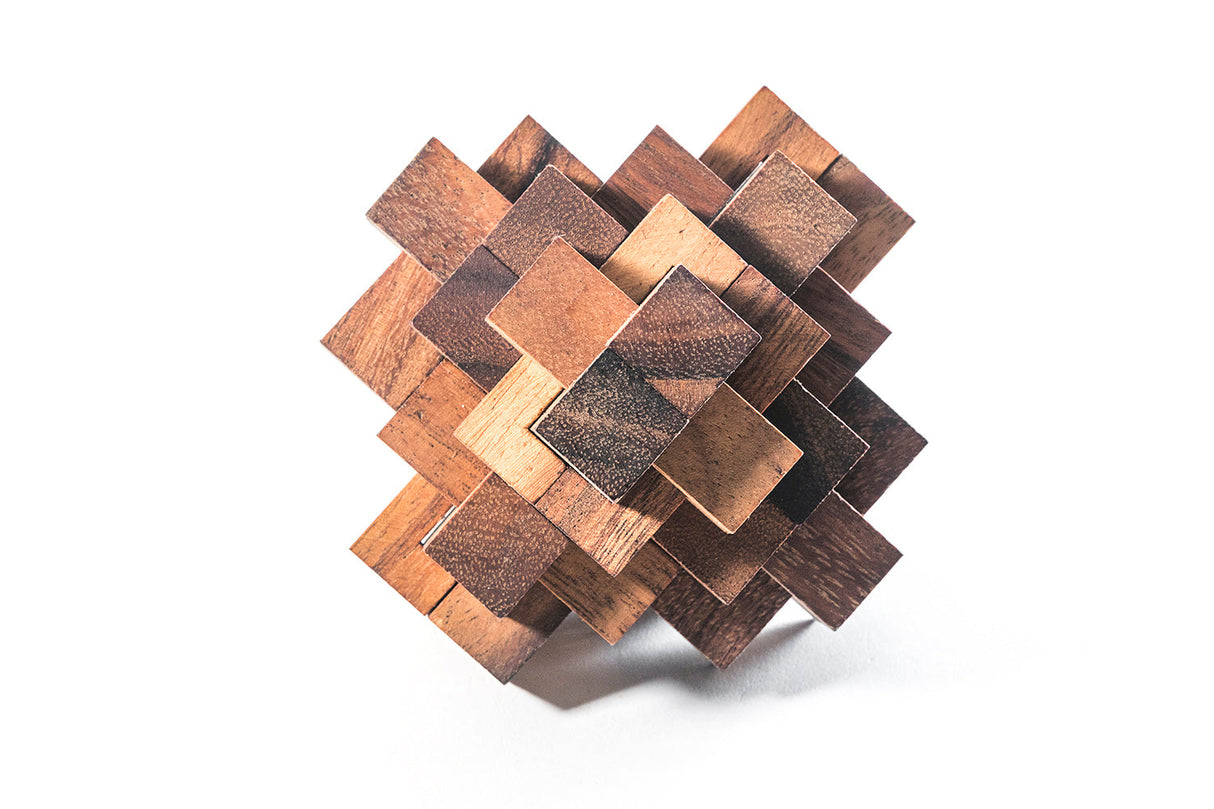 Construct Puzzle - Interlocking 24 piece Burr Puzzle from Kubiya Games