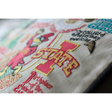 Iowa State University Collegiate Embroidered Pillow by CatStudio from Quirks!