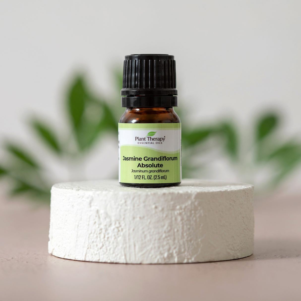 Jasmine Grandiflorum Absolute from Plant Therapy