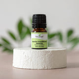 Jasmine Grandiflorum Absolute from Plant Therapy