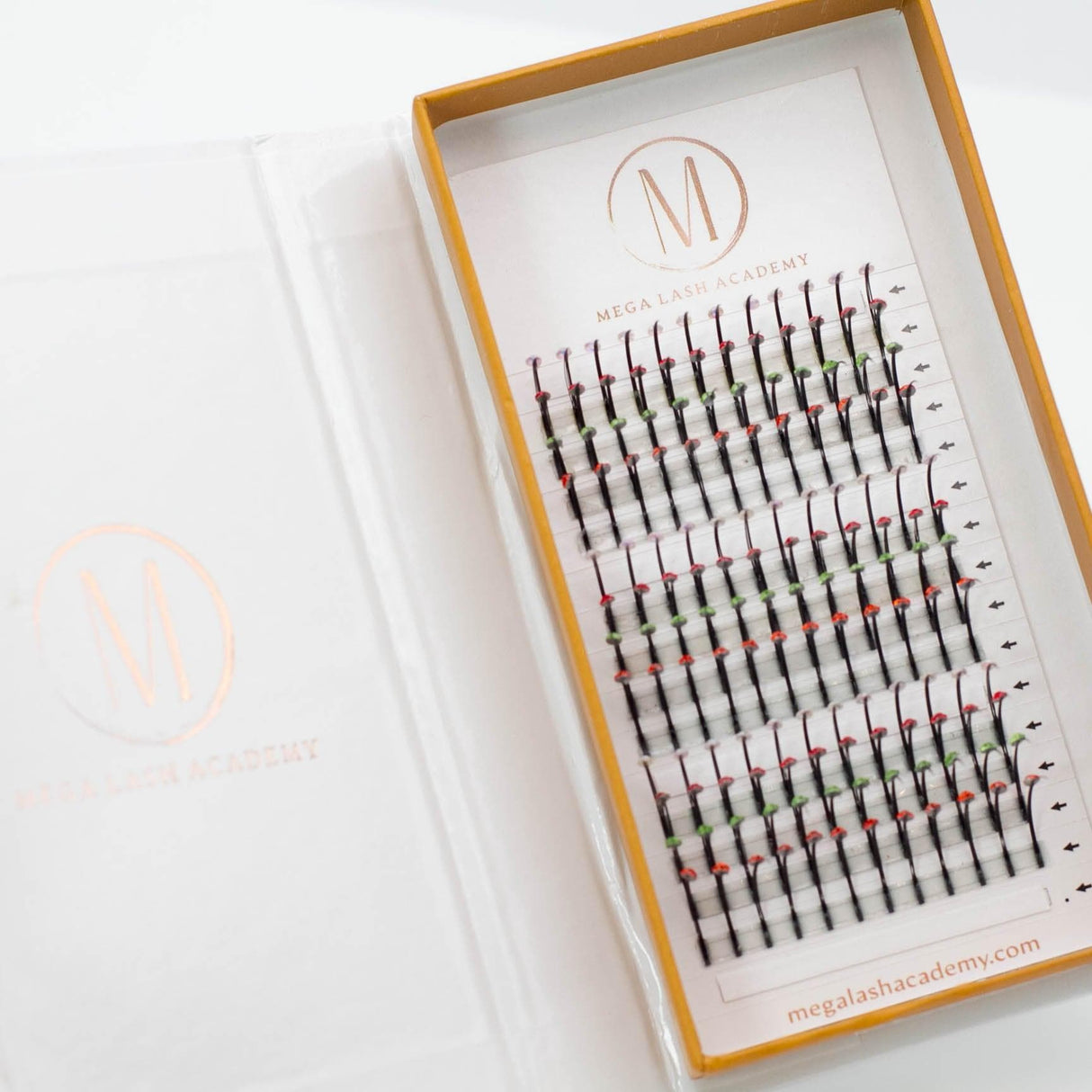 Jewel 5D Spikes from Mega Lash Academy