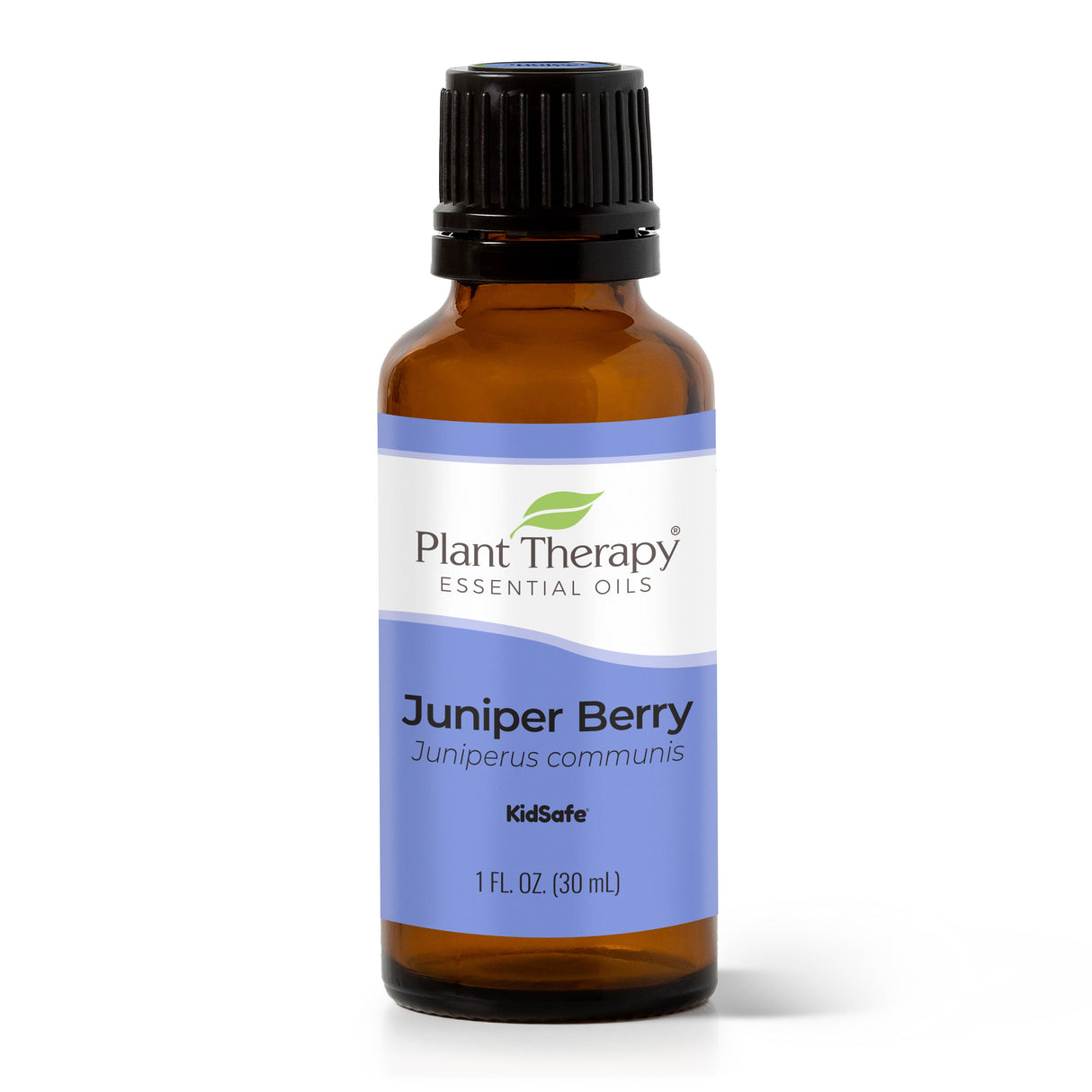 Juniper Berry Essential Oil from Plant Therapy