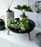 Countertop Pedestal Tray (5" H)  - Steel + Wood from Yamazaki Home