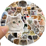 Kawaii Cat Mood Stickers - Aesthetic Decor for DIY & More from Kawaii Stop