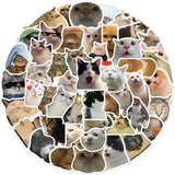 Kawaii Cat Mood Stickers - Aesthetic Decor for DIY & More from Kawaii Stop