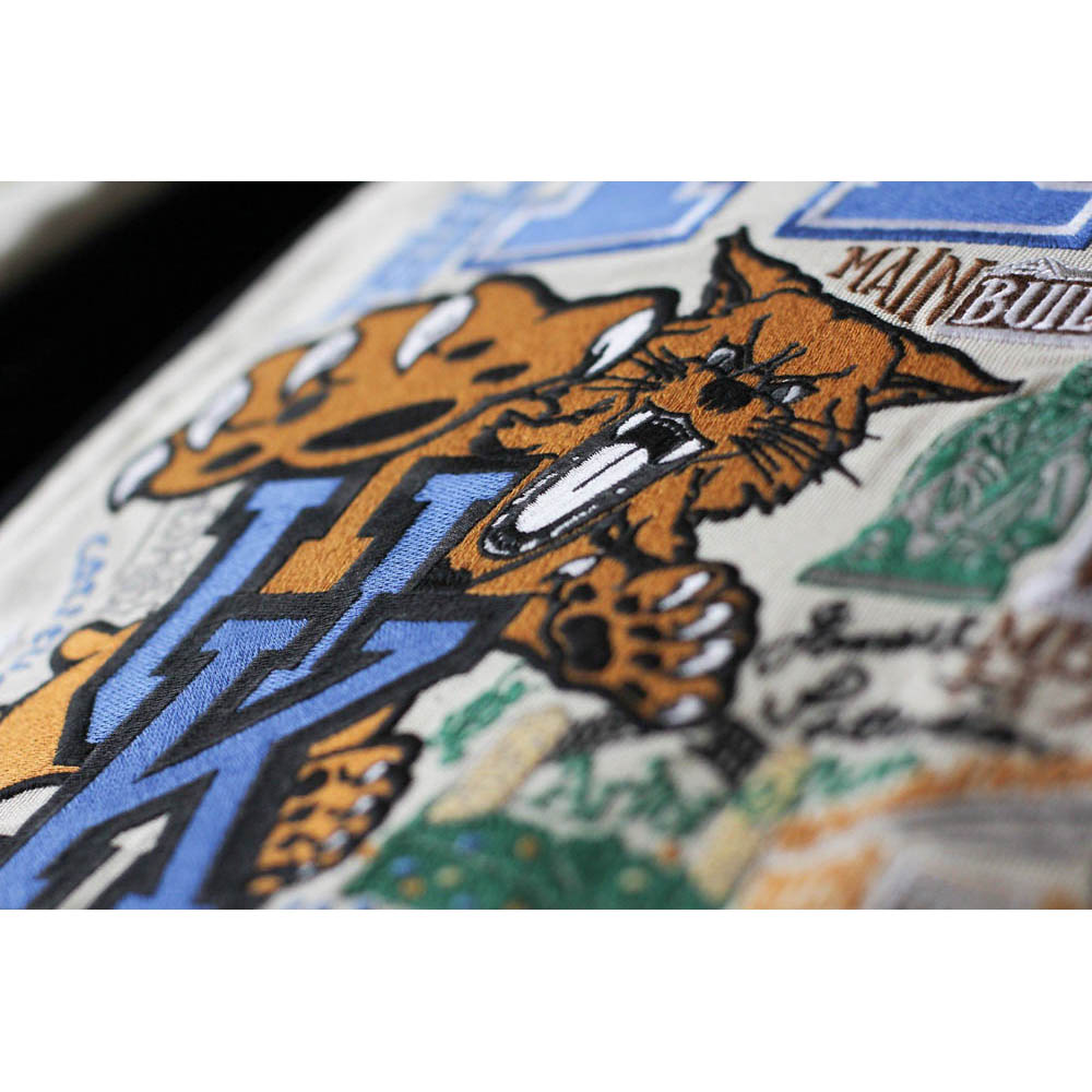 Kentucky, University of Collegiate Embroidered Pillow by CatStudio from Quirks!