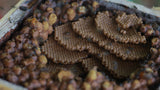 Pili Hunters™ Raw Piliwot Honey from Pili Hunters