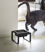 Single Pet Food Bowl - Two Styles - Steel + Ceramic from Yamazaki Home