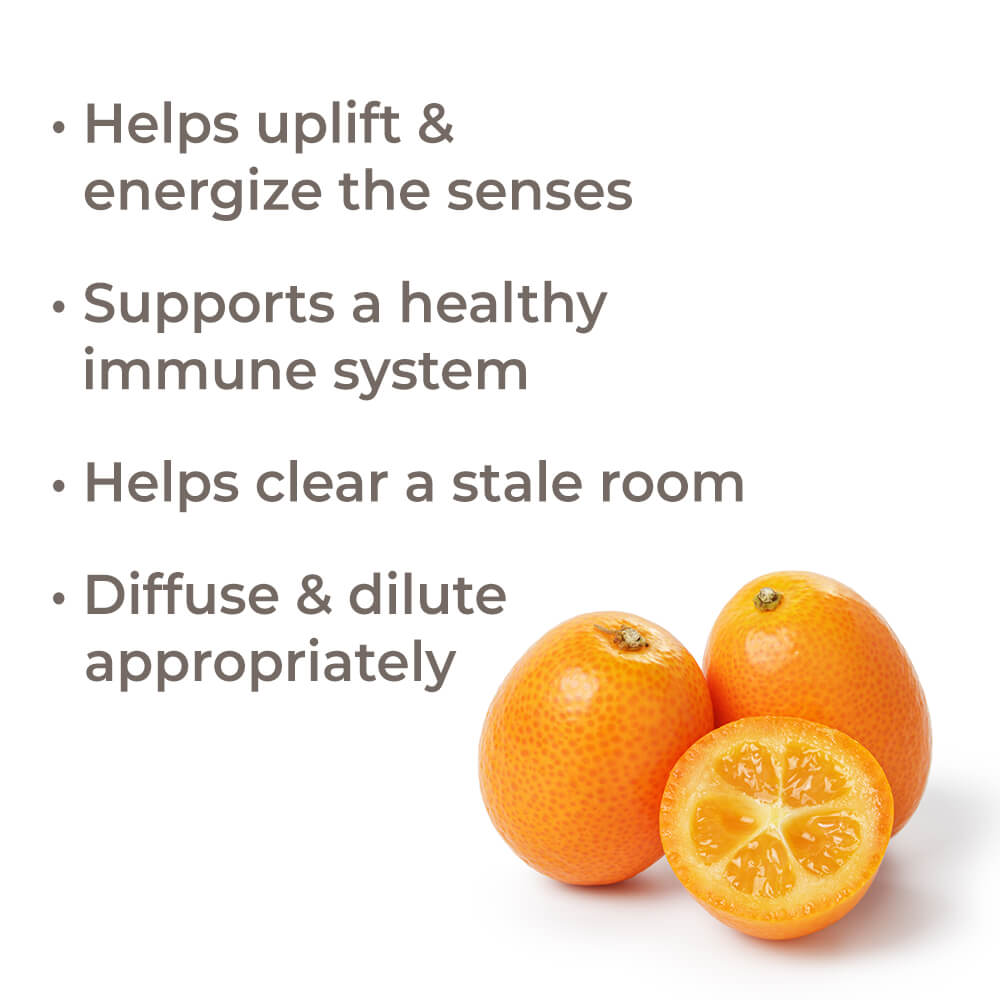 Kumquat Essential Oil from Plant Therapy