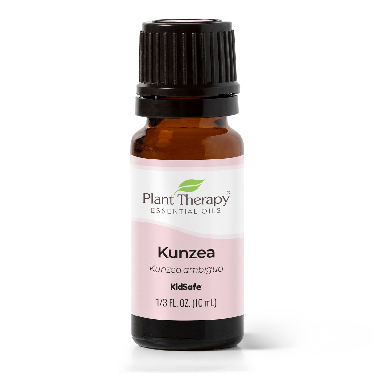 Kunzea Essential Oil from Plant Therapy