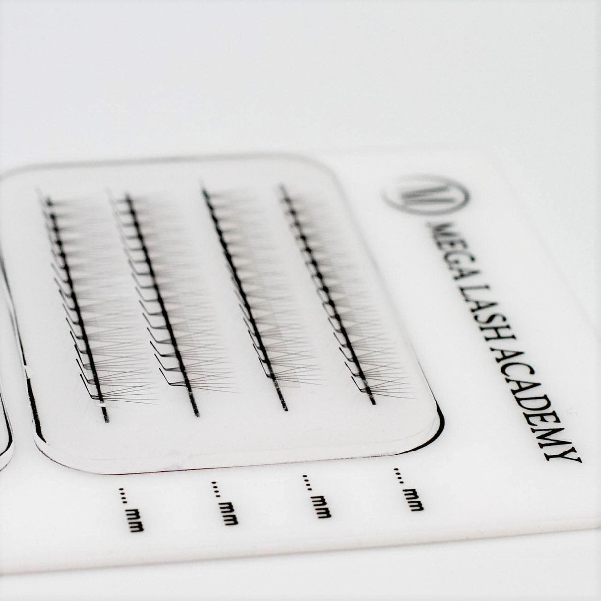 L Curl 5D Rapid Promade Fans - 600 Fans from Mega Lash Academy