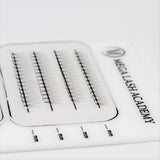 L Curl 5D Rapid Promade Fans - 600 Fans from Mega Lash Academy