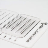 L Curl 5D Rapid Promade Fans - 600 Fans from Mega Lash Academy