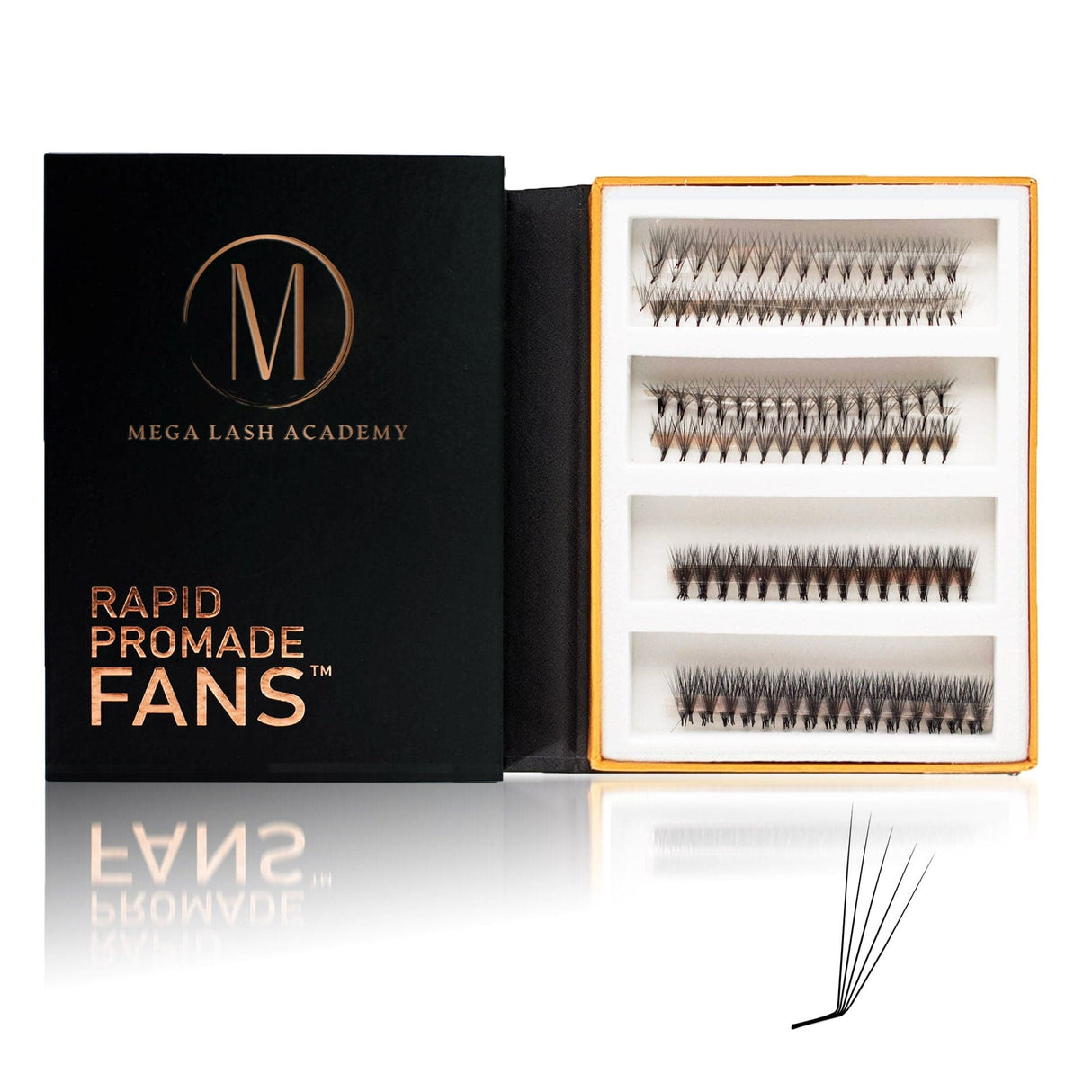 L Curl 5D Rapid Promade Fans - 600 Fans from Mega Lash Academy