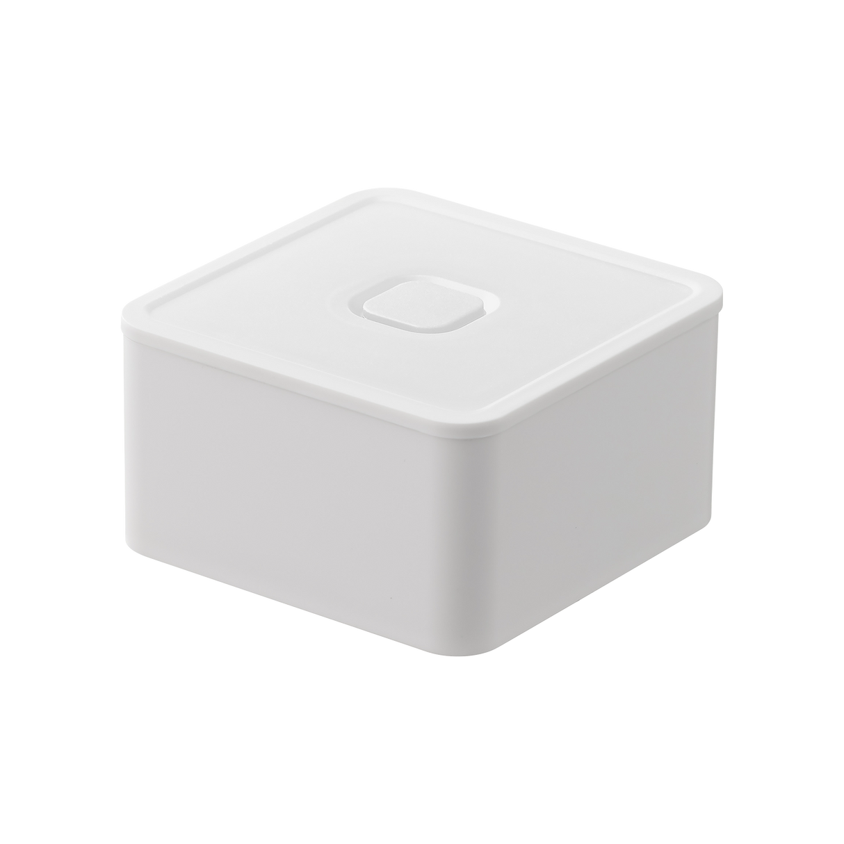 Vacuum-Sealing Food Storage Container from Yamazaki Home