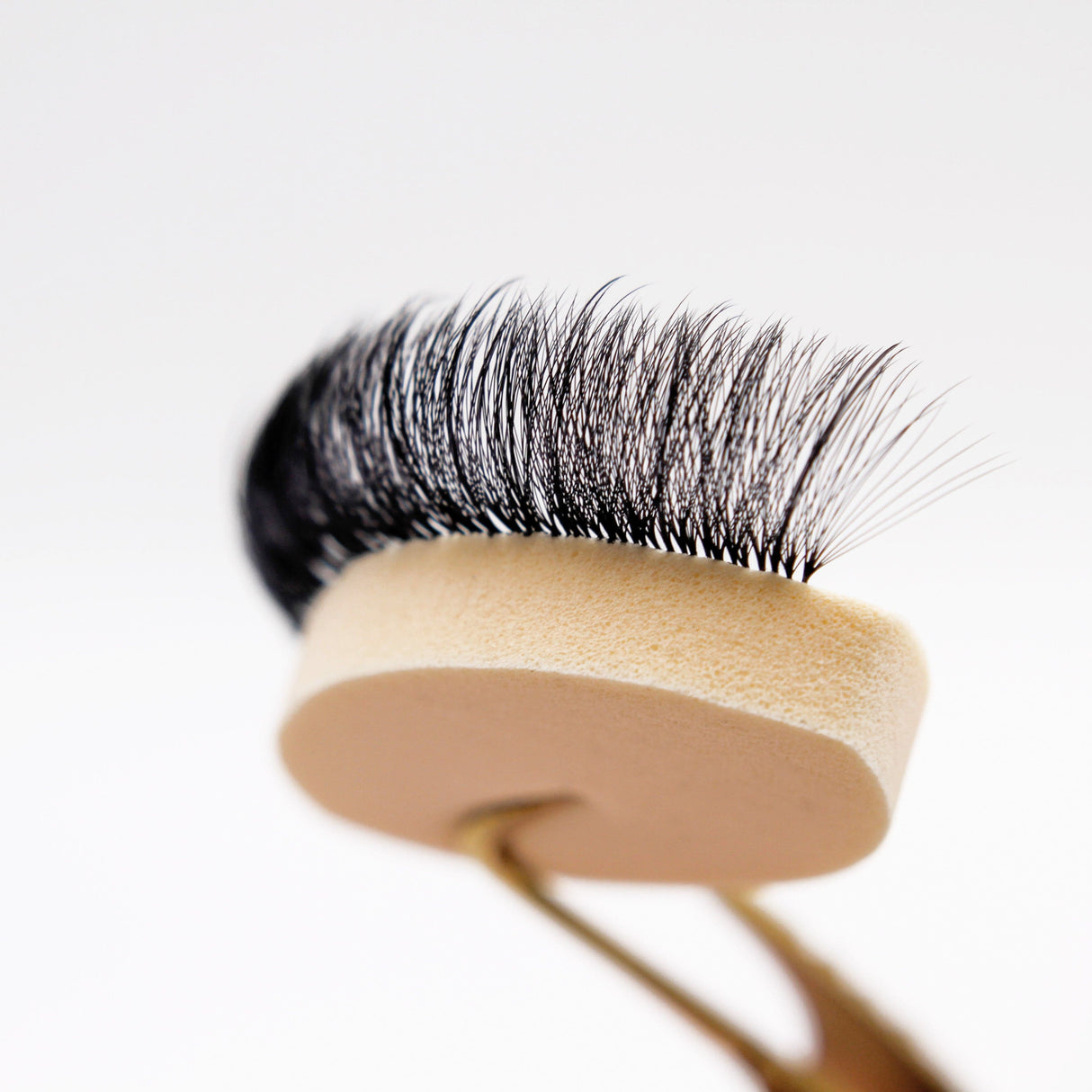 Lash Practice Sponges - 25 pcs from Mega Lash Academy