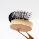 Lash Practice Sponges - 25 pcs from Mega Lash Academy
