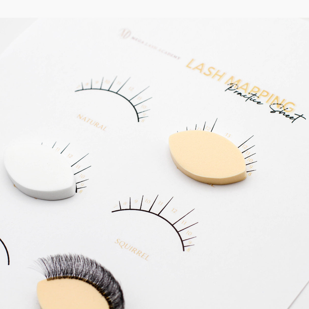 Lash Practice Sponges - 25 pcs from Mega Lash Academy