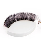 Lash Practice Sponges - 25 pcs from Mega Lash Academy