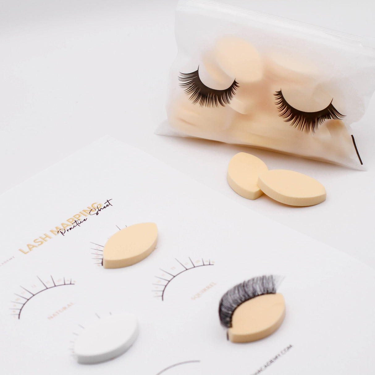 Lash Practice Sponges - 25 pcs from Mega Lash Academy