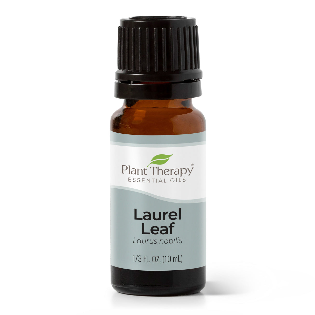 Laurel Leaf Essential Oil from Plant Therapy