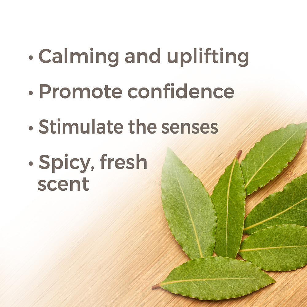 Laurel Leaf Essential Oil from Plant Therapy