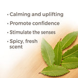 Laurel Leaf Essential Oil from Plant Therapy