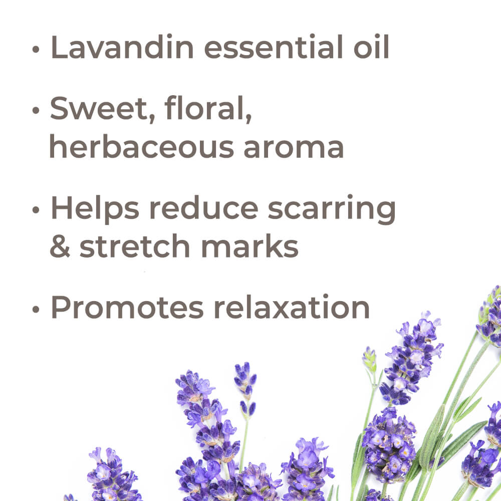 Lavandin Essential Oil from Plant Therapy